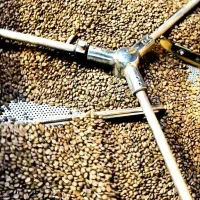 فروش خرده و عمده قهوه