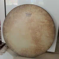 دف نو