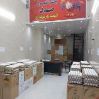 پخش تخم مرغ صدف