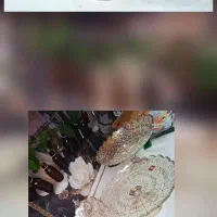سرویس پذیرایی س تیکه دودی