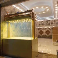 گاوصندوق اسانسوری همراه با هالوژن مدل dfp