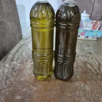 روغن زیتون درجه یک رودبار