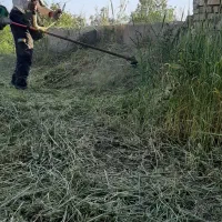 علف زنی باغ پذیرفته می شود