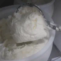 لبنیات