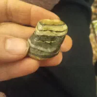 سنگ بابالویی سه پوسته خیلی کمیاب