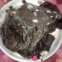 خرید‌وفروش