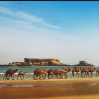 قشم گردی|تور و چارتر|قشم, |دیوار