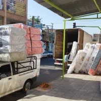 تشک رویا پخش عمده