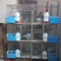 قفس پرنده جفتگاه ۶ تایی