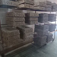 تولید انواع جوجه یک روزه