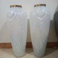گلدان گل اپارتمانی