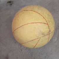 توپ والیبال