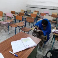 تدریس خصوصی عربی و دبستان