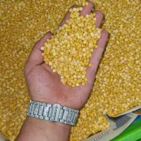 حبوبات(لپه اذر شهر )