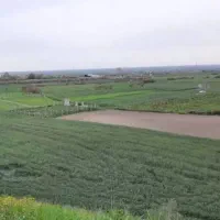 باغ-انار-لمسک