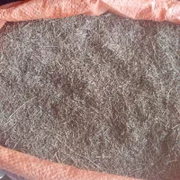 زیره امسال کیلو450شهرفیروزه