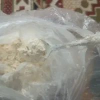 گرده نخل نر