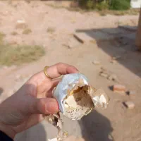 سرکتاب و طالع بینی دقیقه