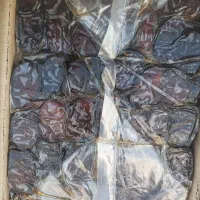 800کیلو خرما درجه یک فروش عمده و خرده