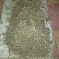 پرس یونجه  و یونجه خورد شده خشک خشک و سبز