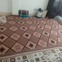گلیم ۶ متری نو و قالیچه