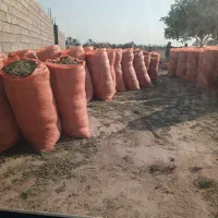 فروش یونجه حدود 5 تن