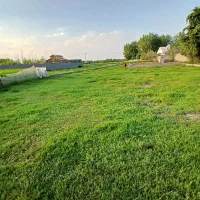 زمین مسکونی سنددارروستایی ۷۷۰متری لشت نشا لیمو چاه