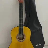 گیتار دیاموند