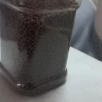 غذا ماهی اکواریوم گوشتخوار