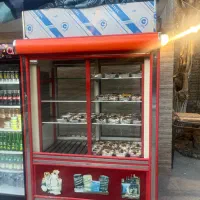 بخچال فریزر ایستاده