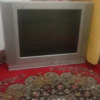 تلویزیون