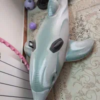 دلفین بادی استخر قد ۱۷۰