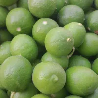 لیموترش