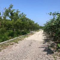 فروش زمین شهرکی