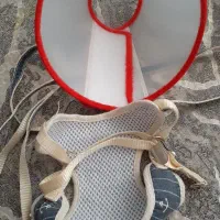 الیزابت وقلاده گربه