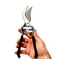 قیچی هرس آکبند جهت معاوضه با کفش کار نو