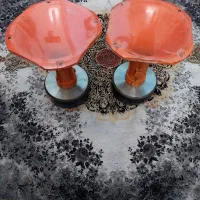 فروش فوری یک جفت هورن درحد نو کاملا سالم