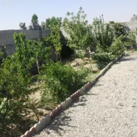300-متر-باغچه