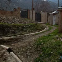 ویلایی