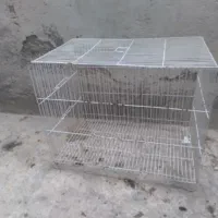 قفس پرنده
