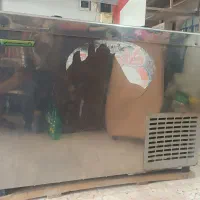 فریزر استیل