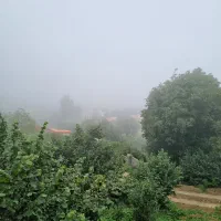 ۲۰۰۰ متر تازه اباد پشت بنگاه ضرونی