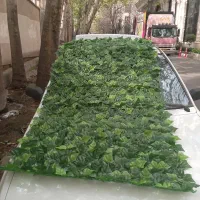 گرین وال رولی مصنوعی (دیوار سبز مصنوعی