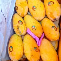 رونق کسب و کار در سروش کارت هدیه