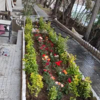 خدمات باغبانی گلکاری رسیدگی به گل های آپارتمانی