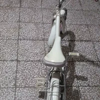 دوچرخه دخترانه ۲۰