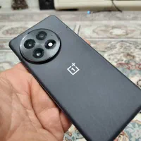 oneplus13
