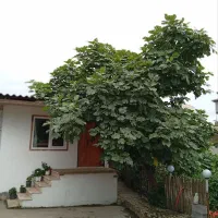 اجاره ویلا سویت
