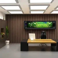 استخدام طراح سایت، برنامه نویس، مدیر، مدرس، منشی