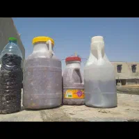 بادام سوره ورب انار